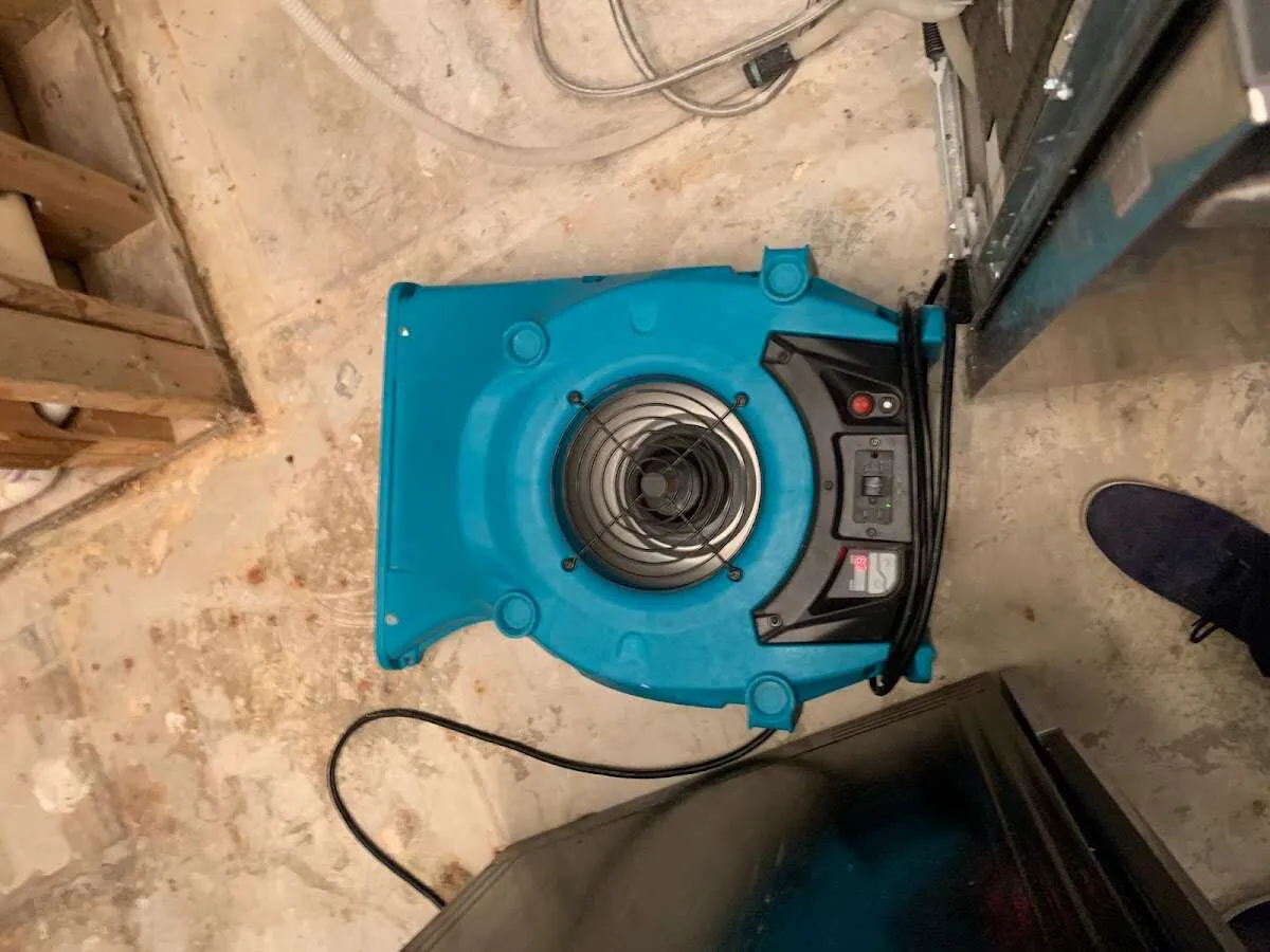 Air mover drying equipment for Mold Remediation & Removal in Starkville